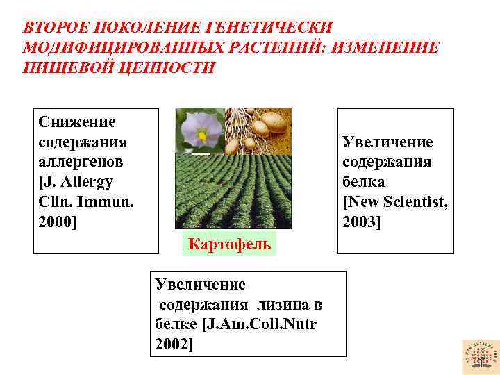 ВТОРОЕ ПОКОЛЕНИЕ ГЕНЕТИЧЕСКИ МОДИФИЦИРОВАННЫХ РАСТЕНИЙ: ИЗМЕНЕНИЕ ПИЩЕВОЙ ЦЕННОСТИ Снижение содержания аллергенов [J. Allergy Clin.