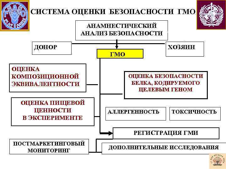 СИСТЕМА ОЦЕНКИ БЕЗОПАСНОСТИ ГМО АНАМНЕСТИЧЕСКИЙ АНАЛИЗ БЕЗОПАСНОСТИ ДОНОР ХОЗЯИН ГМО ОЦЕНКА КОМПОЗИЦИОННОЙ ЭКВИВАЛЕНТНОСТИ ОЦЕНКА