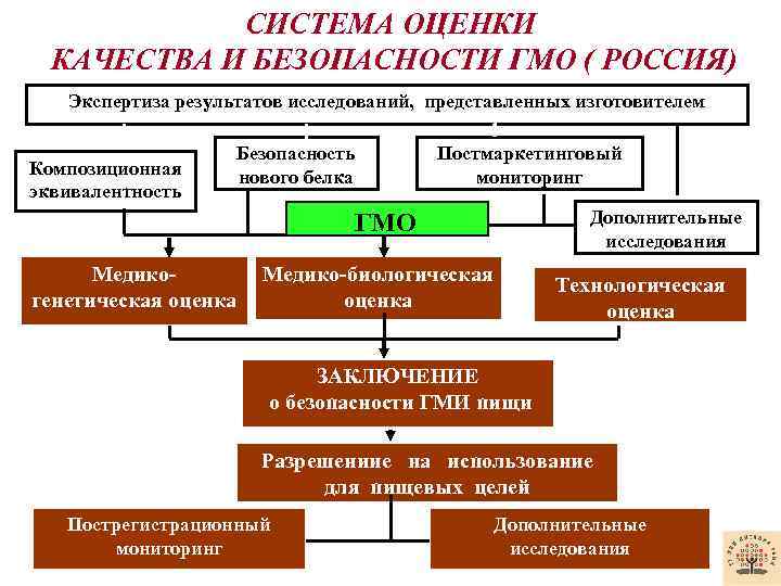 СИСТЕМА ОЦЕНКИ КАЧЕСТВА И БЕЗОПАСНОСТИ ГМО ( РОССИЯ) Экспертиза результатов исследований, представленных изготовителем Композиционная