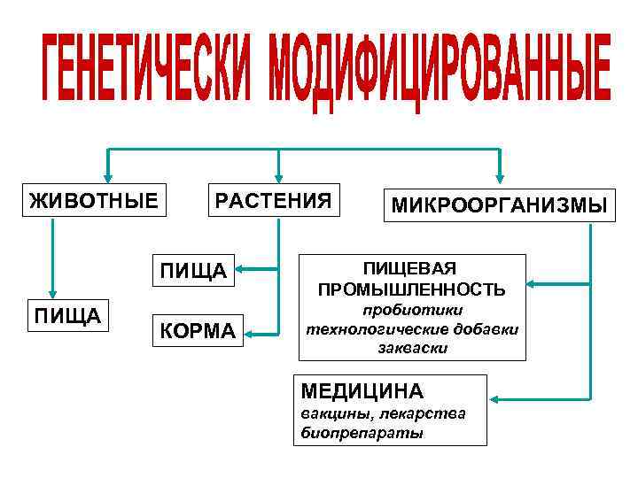 ЖИВОТНЫЕ РАСТЕНИЯ ПИЩА КОРМА МИКРООРГАНИЗМЫ ПИЩЕВАЯ ПРОМЫШЛЕННОСТЬ пробиотики технологические добавки закваски МЕДИЦИНА вакцины, лекарства