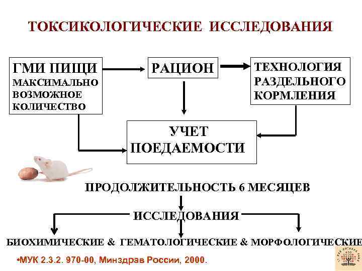 ТОКСИКОЛОГИЧЕСКИЕ ИССЛЕДОВАНИЯ ГМИ ПИЩИ РАЦИОН МАКСИМАЛЬНО ВОЗМОЖНОЕ КОЛИЧЕСТВО ТЕХНОЛОГИЯ РАЗДЕЛЬНОГО КОРМЛЕНИЯ УЧЕТ ПОЕДАЕМОСТИ ПРОДОЛЖИТЕЛЬНОСТЬ