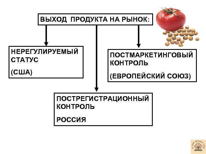 ВЫХОД ПРОДУКТА НА РЫНОК: НЕРЕГУЛИРУЕМЫЙ СТАТУС (США) ПОСТМАРКЕТИНГОВЫЙ КОНТРОЛЬ (ЕВРОПЕЙСКИЙ СОЮЗ) ПОСТРЕГИСТРАЦИОННЫЙ КОНТРОЛЬ РОССИЯ