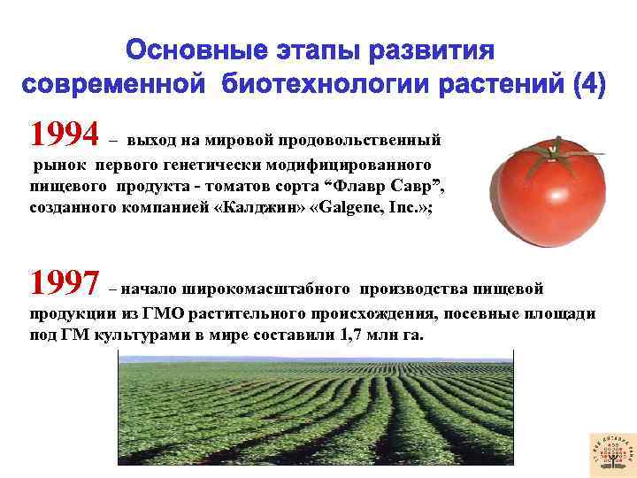 1994 – выход на мировой продовольственный рынок первого генетически модифицированного пищевого продукта - томатов