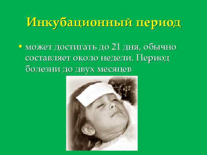 Инкубационный период • может достигать до 21 дня, обычно составляет около недели. Период болезни