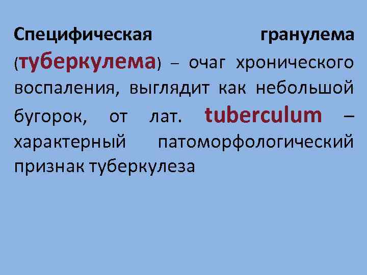 Специфическая гранулема (туберкулема) – очаг хронического воспаления, выглядит как небольшой бугорок, от лат. tuberculum