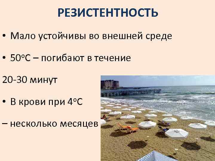 РЕЗИСТЕНТНОСТЬ • Мало устойчивы во внешней среде • 50 о. С – погибают в