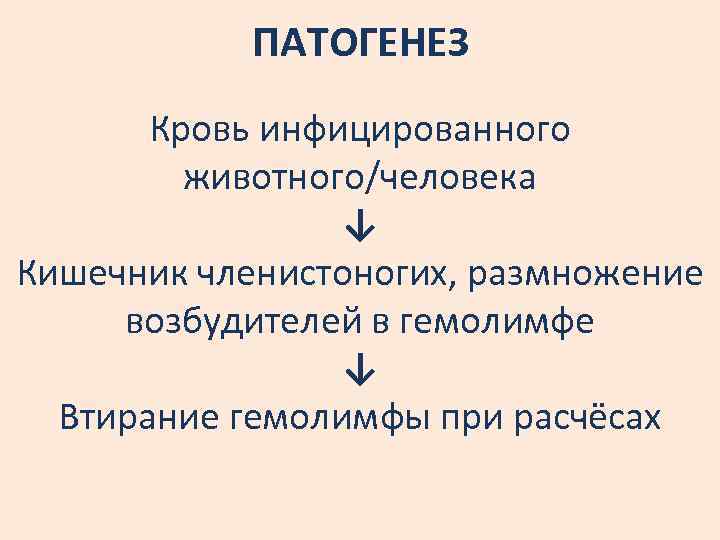 ПАТОГЕНЕЗ Кровь инфицированного животного/человека ↓ Кишечник членистоногих, размножение возбудителей в гемолимфе ↓ Втирание гемолимфы