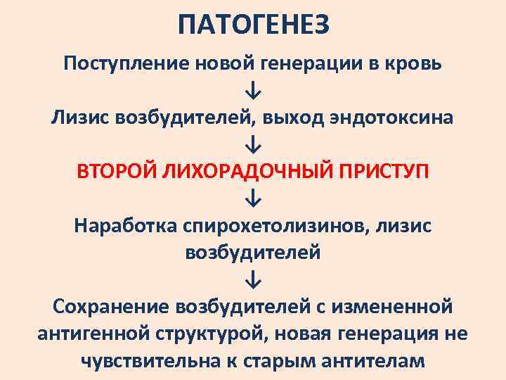 ПАТОГЕНЕЗ Поступление новой генерации в кровь ↓ Лизис возбудителей, выход эндотоксина ↓ ВТОРОЙ ЛИХОРАДОЧНЫЙ