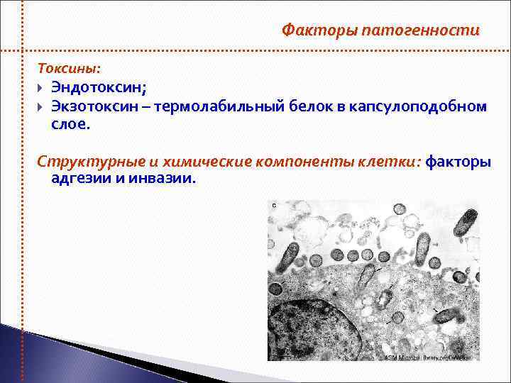 Презентация на тему токсины в быту