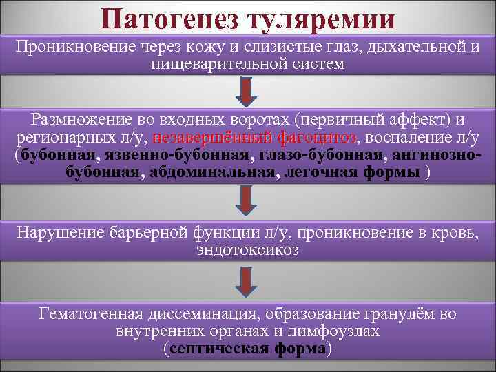 Патогенез туляремии Проникновение через кожу и слизистые глаз, дыхательной и пищеварительной систем Размножение во