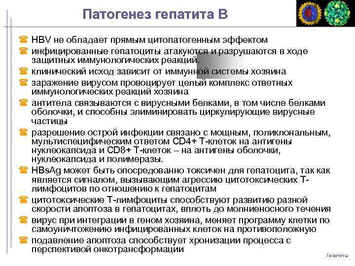 Патогенез гепатита B HBV не обладает прямым цитопатогенным эффектом инфицированные гепатоциты атакуются и разрушаются