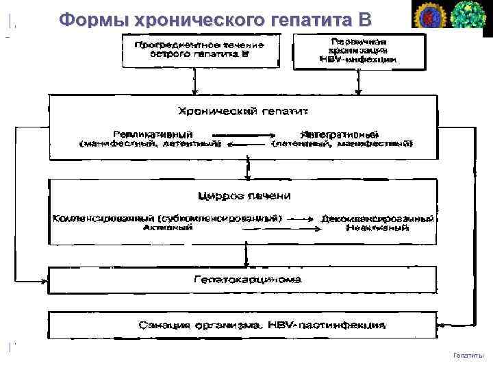 Формы хронического гепатита B Гепатиты 