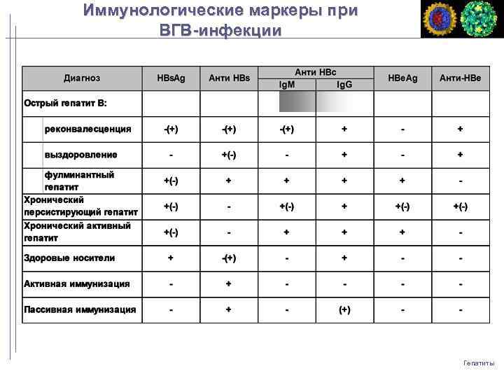 Иммунологические маркеры при ВГВ-инфекции Гепатиты 