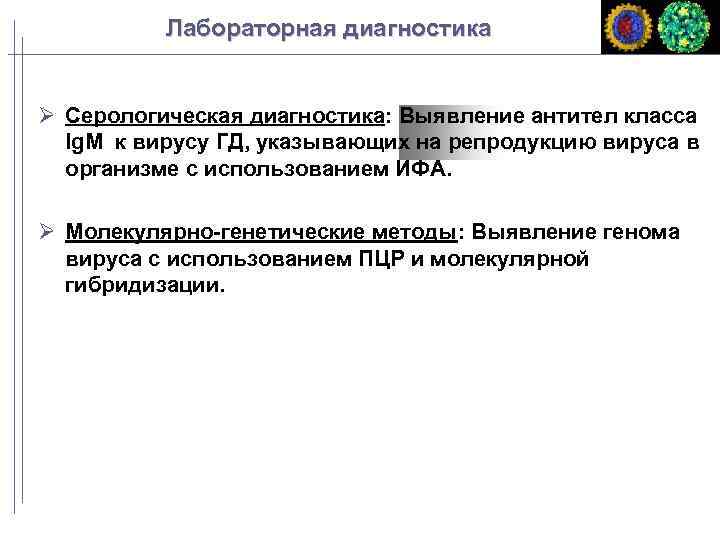 Лабораторная диагностика Серологическая диагностика: Выявление антител класса Ig. M к вирусу ГД, указывающих на