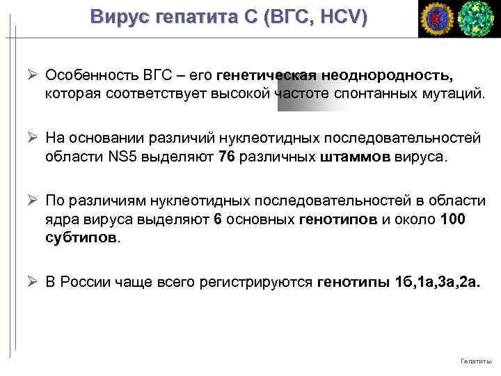 Вирус гепатита C (ВГC, HCV) Особенность ВГС – его генетическая неоднородность, которая соответствует высокой