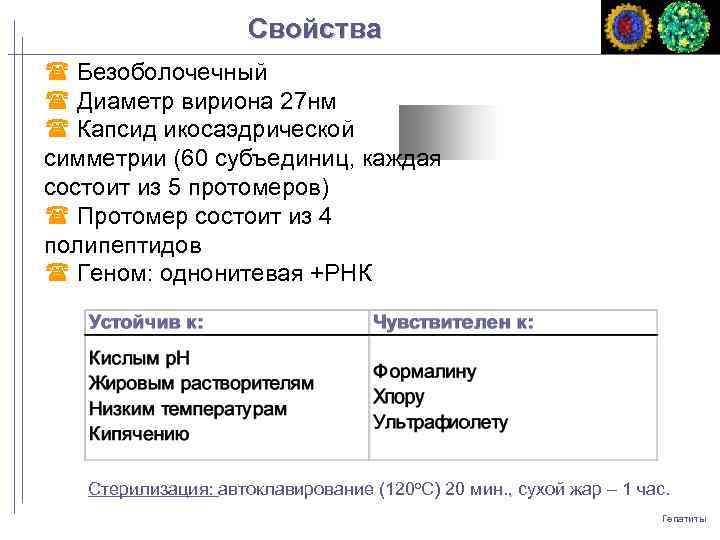 Свойства Безоболочечный Диаметр вириона 27 нм Капсид икосаэдрической симметрии (60 субъединиц, каждая состоит из