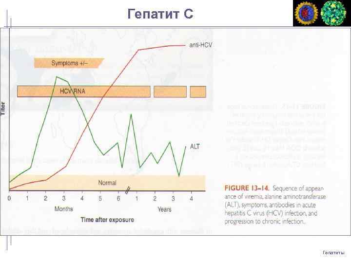 Гепатит С Гепатиты 