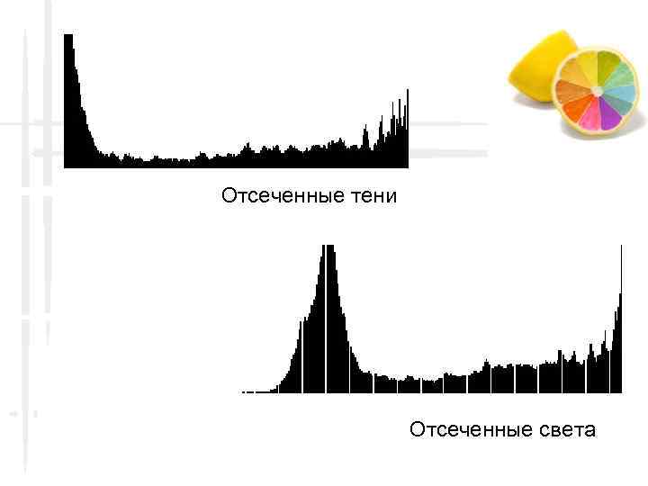 Отсеченные тени Отсеченные света 