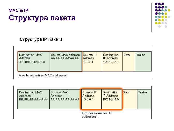 MAC & IP Структура пакета Структура IP пакета 