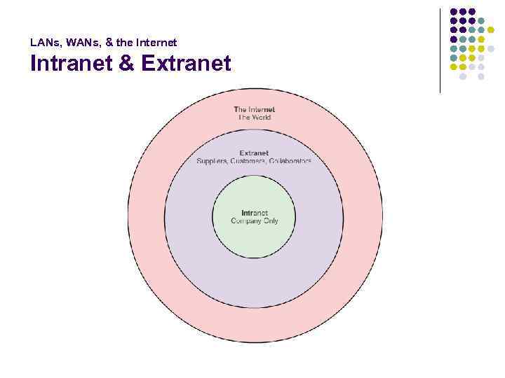 LANs, WANs, & the Internet Intranet & Extranet 