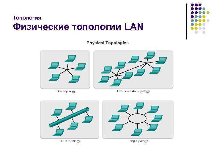 Топология Физические топологии LAN 