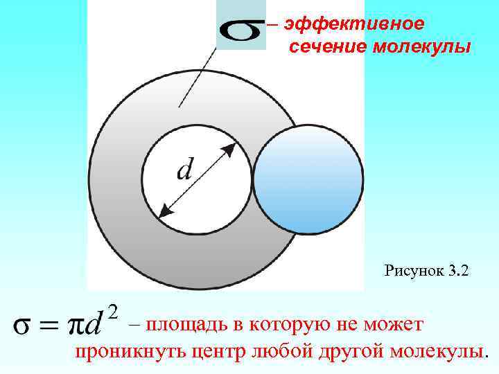 – эффективное сечение молекулы Рисунок 3. 2 – площадь в которую не может проникнуть