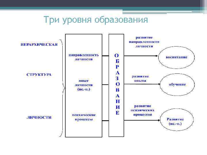 Три уровня образования 