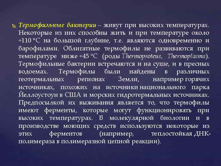  Термофильные бактерии – живут при высоких температурах. Некоторые из них способны жить и