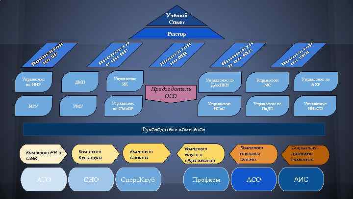 Ученый Совет Ректор Управление по НИР ИРУ ДМП Управление ИК Управление по ДАи. ПКН