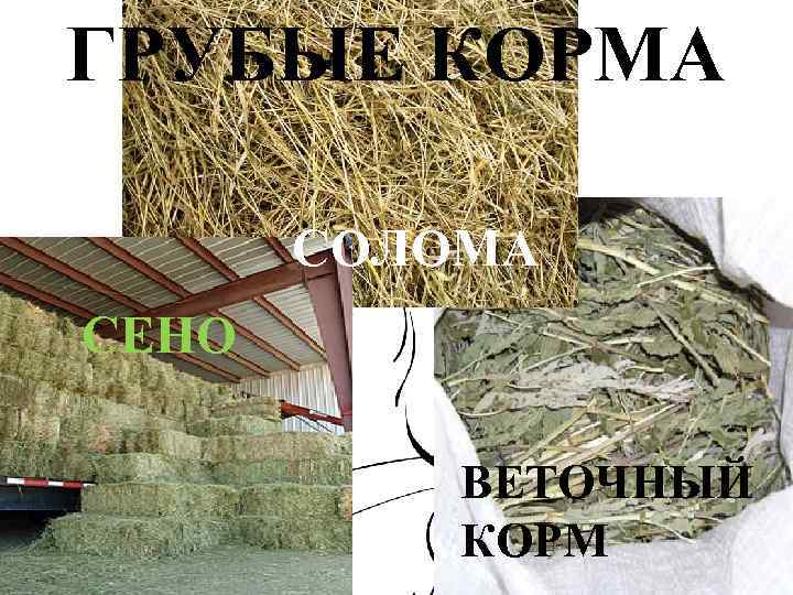 ГРУБЫЕ КОРМА СОЛОМА СЕНО ВЕТОЧНЫЙ КОРМ 