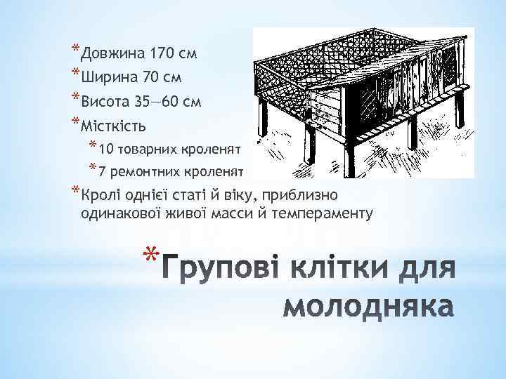 *Довжина 170 см *Ширина 70 см *Висота 35— 60 см *Місткість * 10 товарних