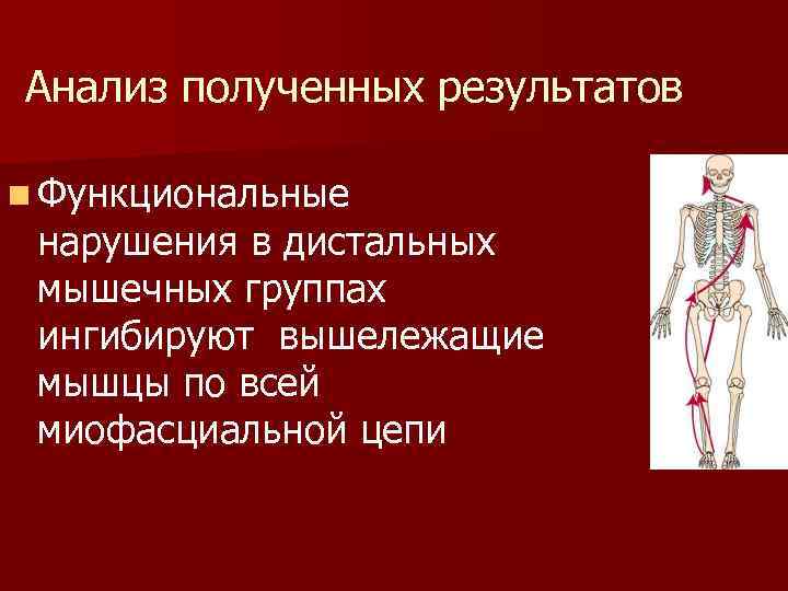 Анализ полученных результатов n Функциональные нарушения в дистальных мышечных группах ингибируют вышележащие мышцы по