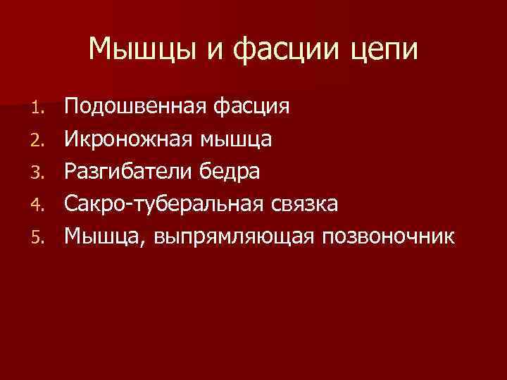 Мышцы и фасции цепи 1. 2. 3. 4. 5. Подошвенная фасция Икроножная мышца Разгибатели