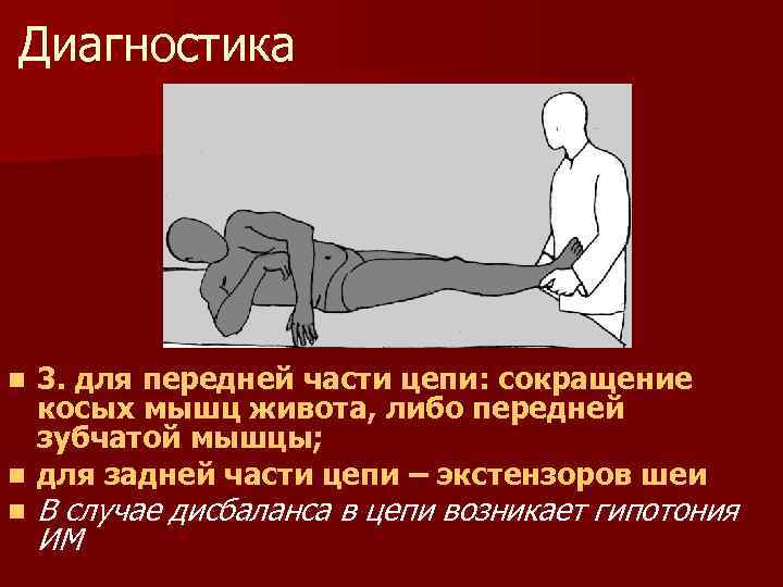 Диагностика 3. для передней части цепи: сокращение косых мышц живота, либо передней зубчатой мышцы;