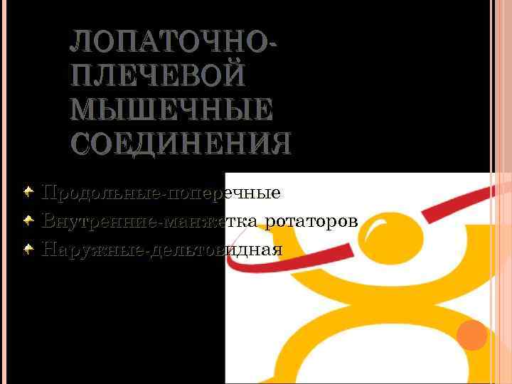 ЛОПАТОЧНОПЛЕЧЕВОЙ МЫШЕЧНЫЕ СОЕДИНЕНИЯ Продольные-поперечные Внутренние-манжетка ротаторов Наружные-дельтовидная 