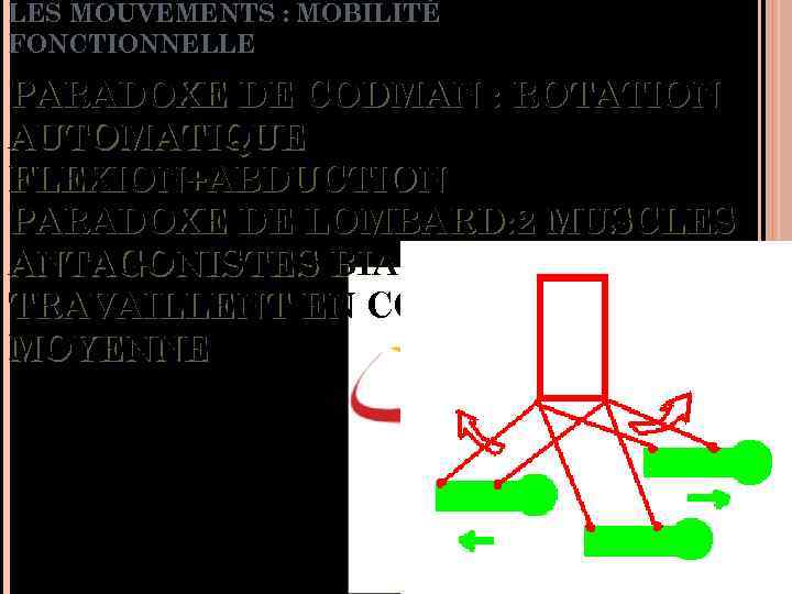 LES MOUVEMENTS : MOBILITÉ FONCTIONNELLE PARADOXE DE CODMAN : ROTATION AUTOMATIQUE FLEXION+ABDUCTION PARADOXE DE