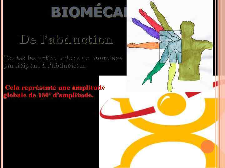 BIOMÉCANIQUE De l’abduction Toutes les articulations du complexe participent à l’abduction. Cela représente une