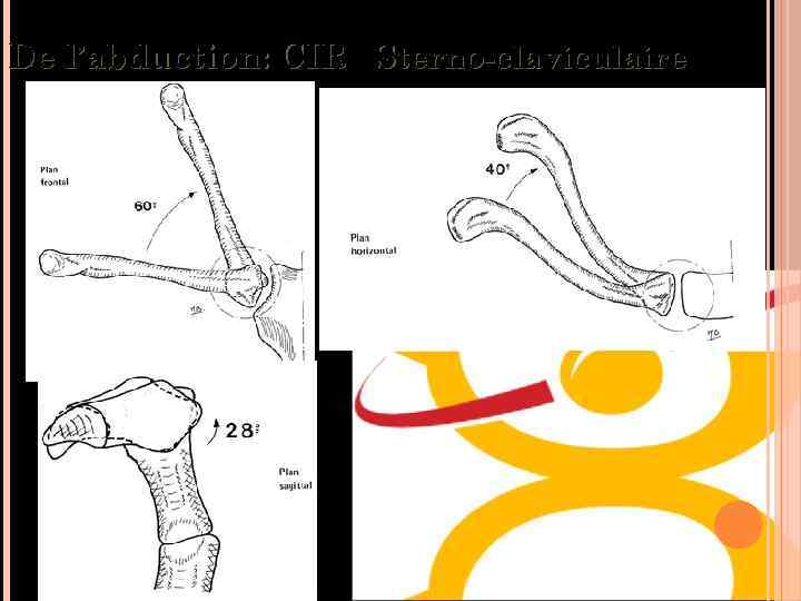 De l’abduction: CIR Sterno-claviculaire 