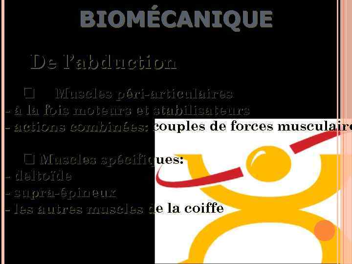 BIOMÉCANIQUE De l’abduction q Muscles péri-articulaires - à la fois moteurs et stabilisateurs -