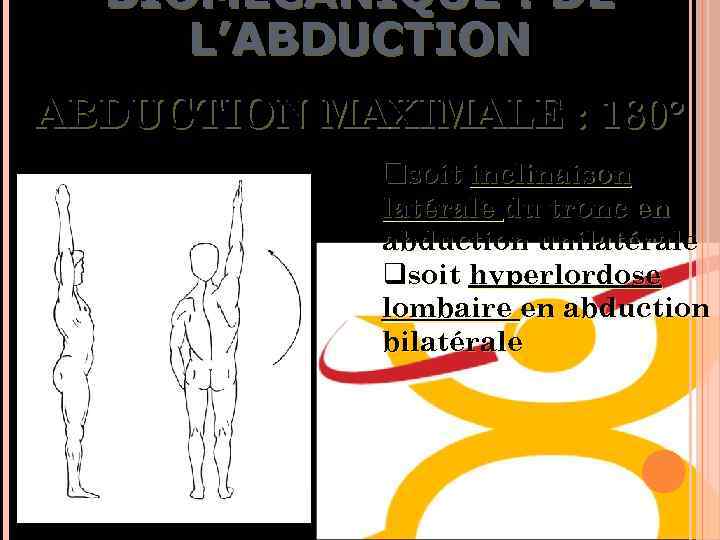BIOMÉCANIQUE : DE L’ABDUCTION MAXIMALE : 180° qsoit inclinaison latérale du tronc en abduction