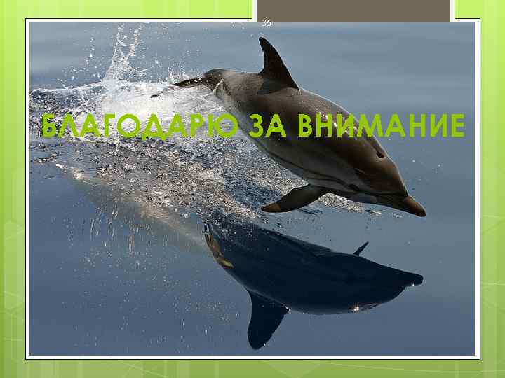 35 БЛАГОДАРЮ ЗА ВНИМАНИЕ 