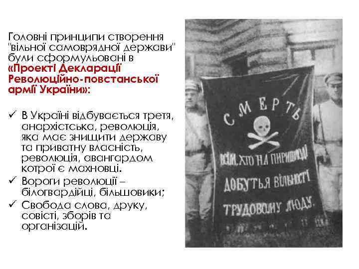 Головні принципи створення "вільної самоврядної держави" були сформульовані в «Проекті Декларації Революційно-повстанської армії України»