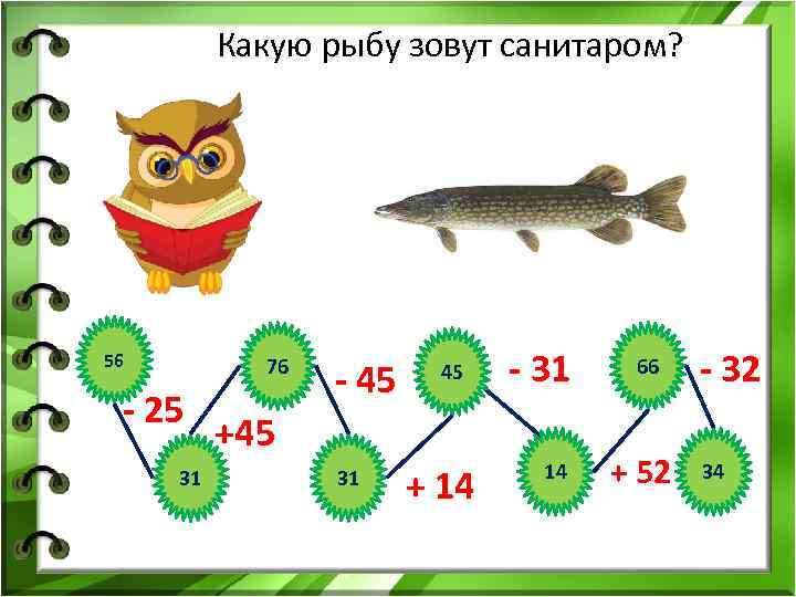 Какую рыбу зовут санитаром? 56 76 - 25 31 - 45 45 - 31