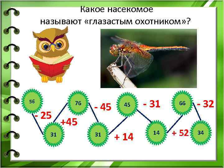 Какое насекомое называют «глазастым охотником» ? 56 76 - 25 31 - 45 45