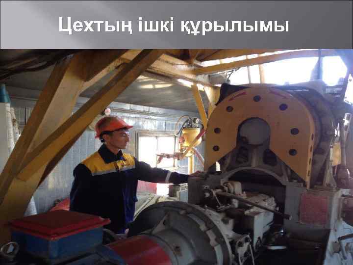 Цехтың ішкі құрылымы 