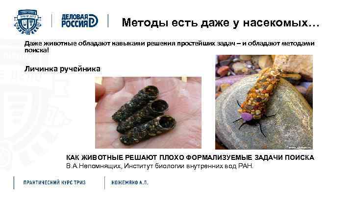 Методы есть даже у насекомых… Даже животные обладают навыками решения простейших задач – и
