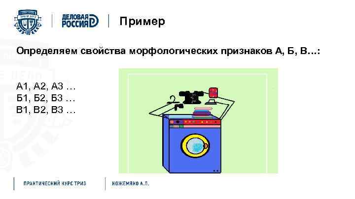 Пример Определяем свойства морфологических признаков А, Б, В…: А 1, А 2, А 3