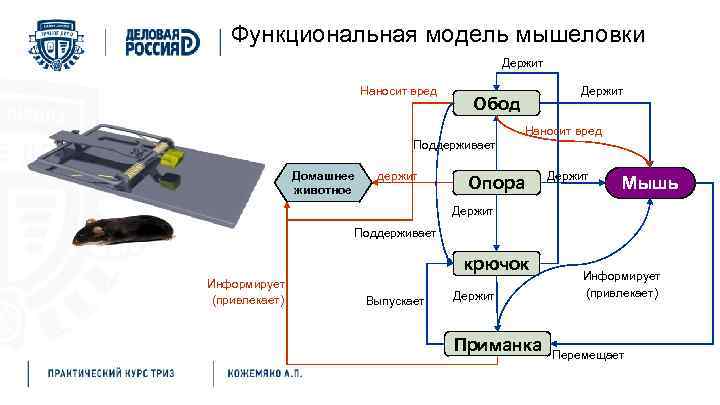 Функциональная модель мышеловки Держит Наносит вред Держит Обод Наносит вред Поддерживает Домашнее животное держит