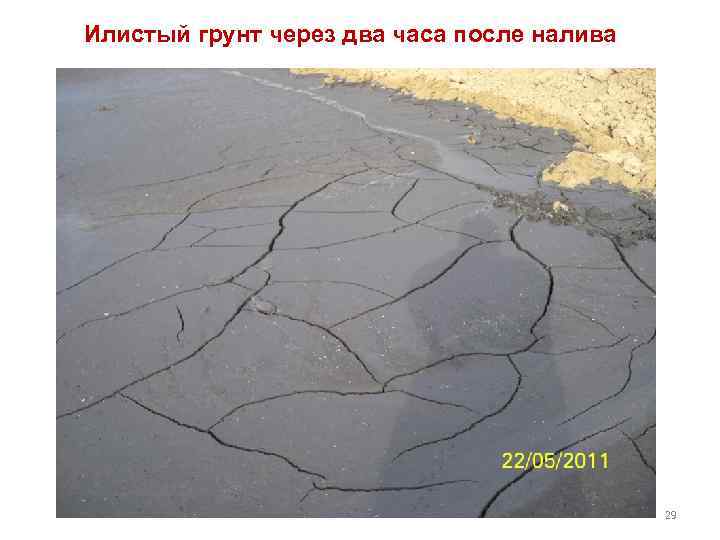 Илистый грунт через два часа после налива 29 