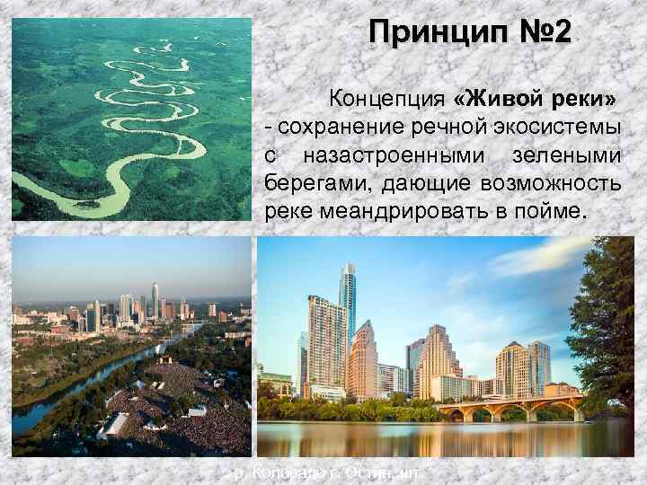 Принцип № 2 Концепция «Живой реки» - сохранение речной экосистемы с назастроенными зелеными берегами,